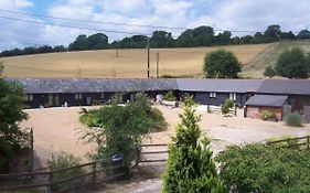Five Cottages In Aonb And A Hobbit House!